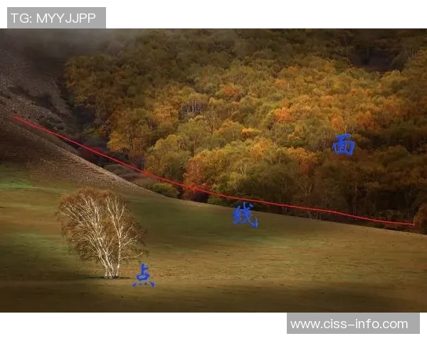 南京飞盘队的包夹战术解析与实战应用探讨 南京飞盘队的包夹战术解析与实战应用探讨