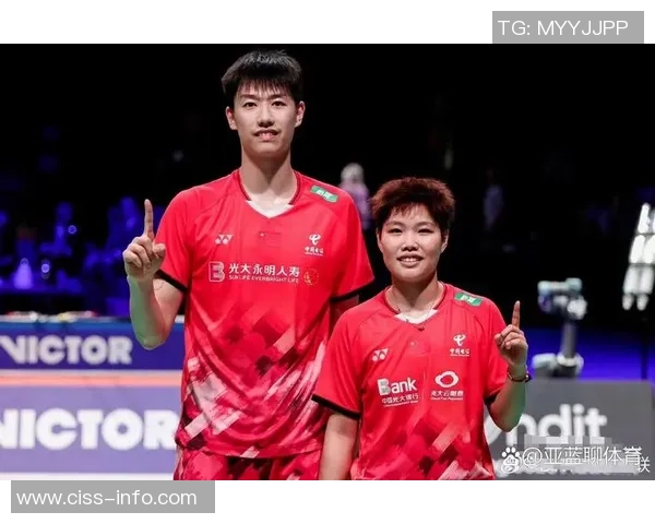 羽毛球个人能力排行榜揭晓北京羽毛球队荣登第五名位置